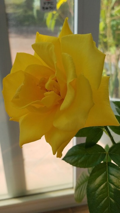 20201020_124454