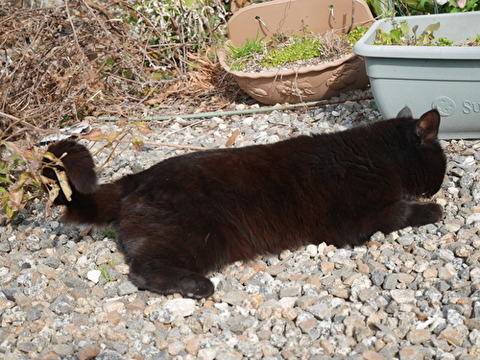 AKV6DIPntRV3YBP1582671308