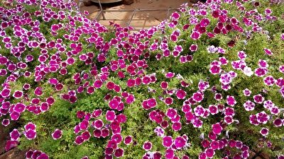 K7grwepu362QWtP1631777613-1