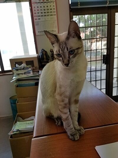 XfpiXv3Xz8EJj4C1597644958