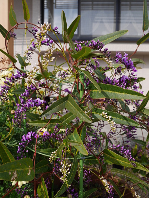 xhCTkcybDst6xB41582671851