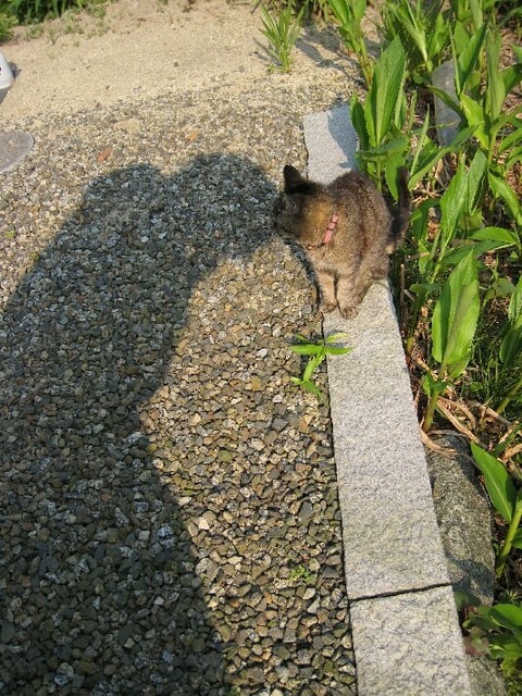 1748354ea09974320559d6fa7c0fcfdc