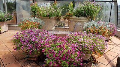 bVOwAnAp2bungfV1631777576