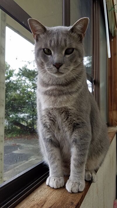 heA6jXIUAmksJXs1632299431