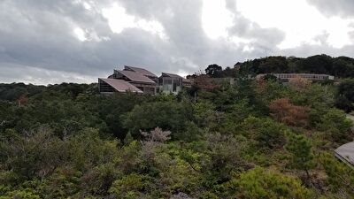 mLo3vYijEemSUya1637152581