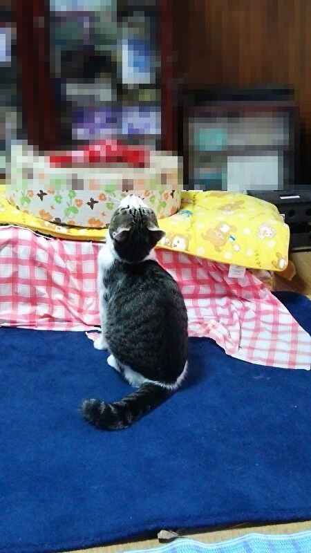 6e9HZn57Dt2LRDd1692857833_1692857857