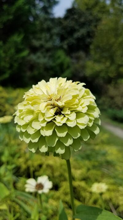 2rAsSrCj2F5RVA81631777872