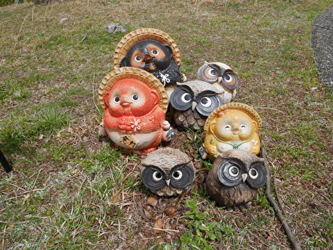 rXH0A4hQv0unqba1587991853