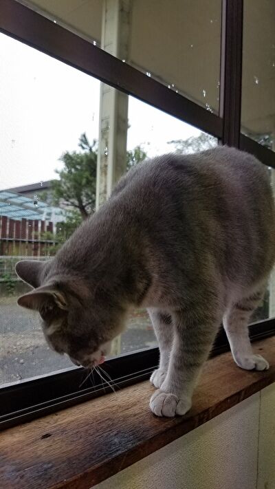 XfIZq2F191Mt3T61632300698