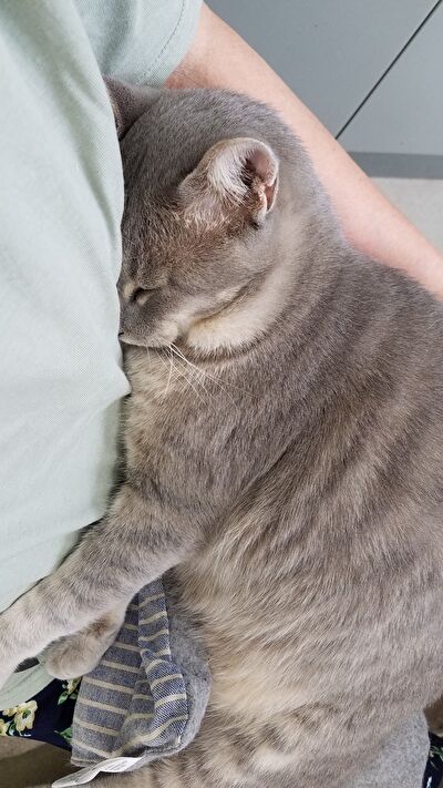 JoWormqv9QFwzNW1631787130