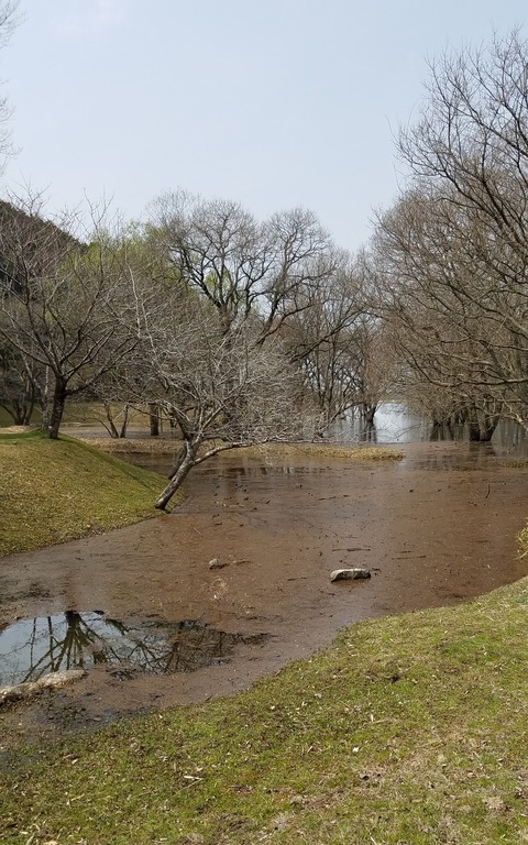 20260329_201106
