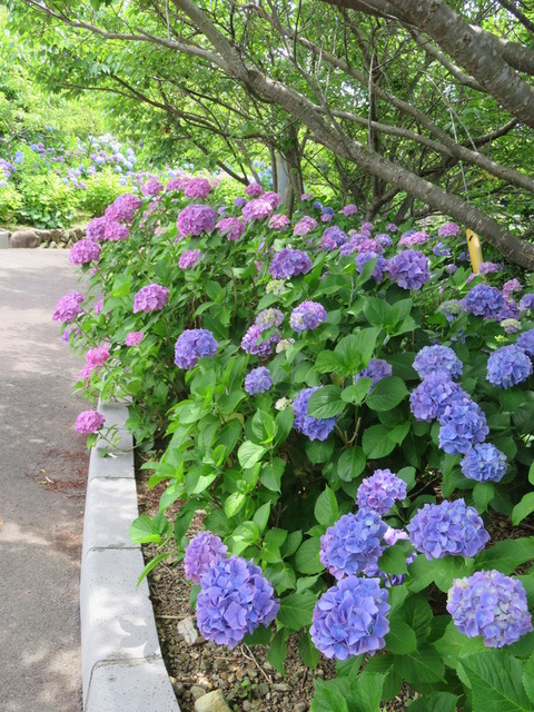 e5USu9cYr7FcisY1528459251