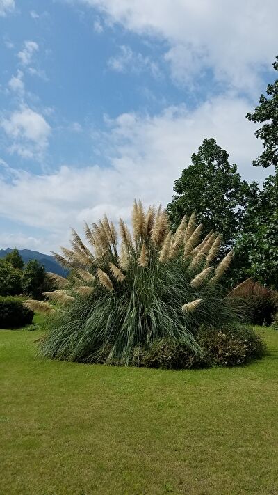 7WiZ7bXJTnjfq7V1631777526