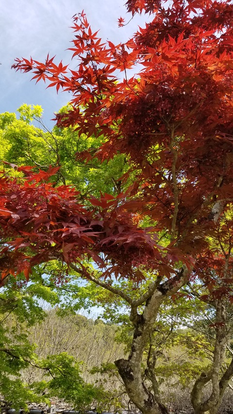 20260412_105228