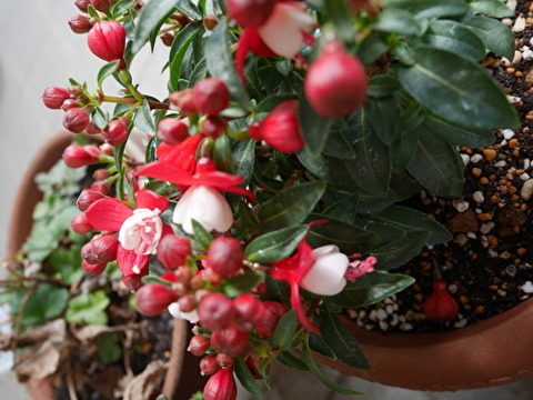 M4i4aB92xsMPWRr1586249191_1586249234