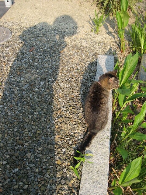 8db48a25cb216dc591cc68e57dd11858