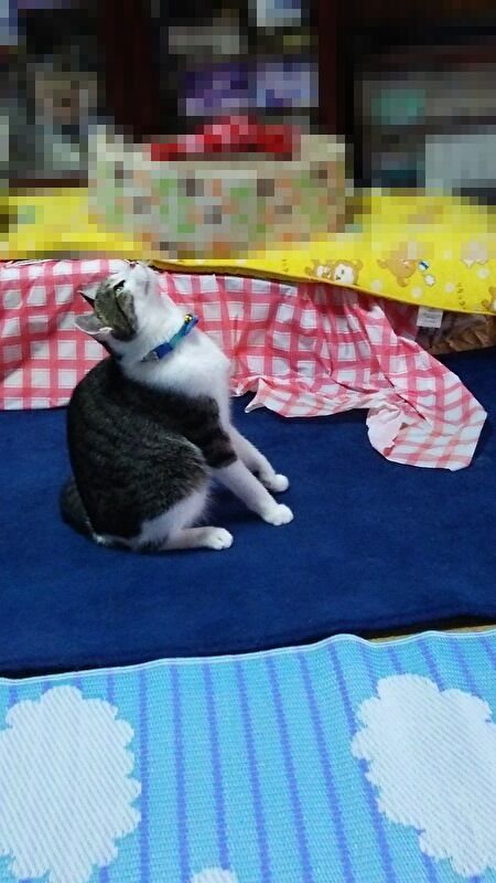 FjDcFmFCdIaX1t91692857655_1692857708