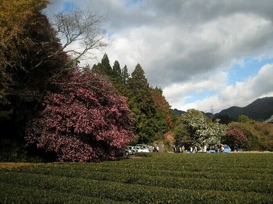 IMG_9467_20131226080811508