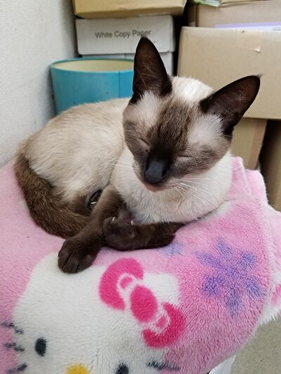 7oC3TfQc87xDBvU1625641347