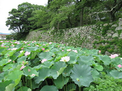 13Sub844RKZGqd21658651390