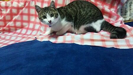 EZd4RrYZcN88GIX1689077878