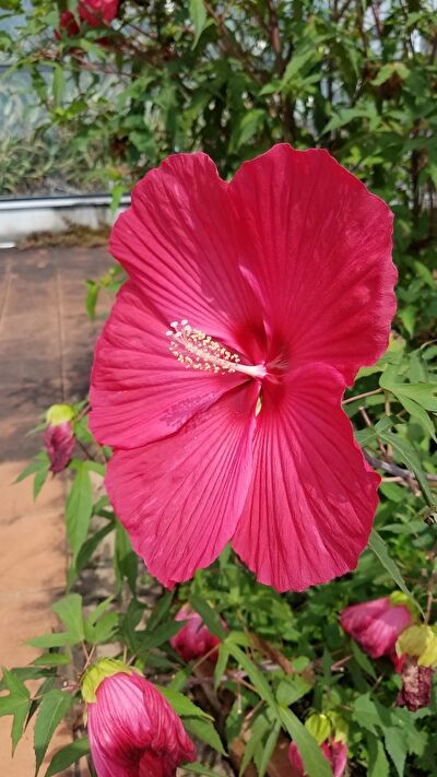 JqKwo0vEHudXDp31631777424