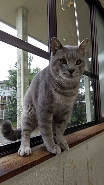 8nQt9l0WQ9XzhA41632299328