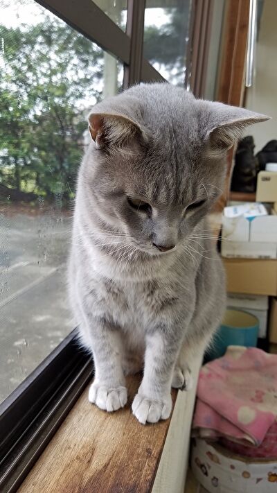 PyVzynzqbnrX2bu1632299456