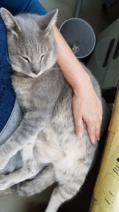 339EuKvAUDwR4191632299530