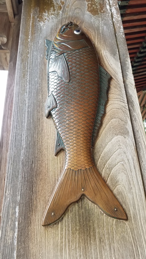20260508_103506