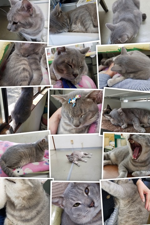 20200909_101611-COLLAGE