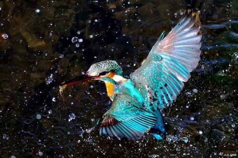 8d05de8d0d14ea9459f6df963b450782