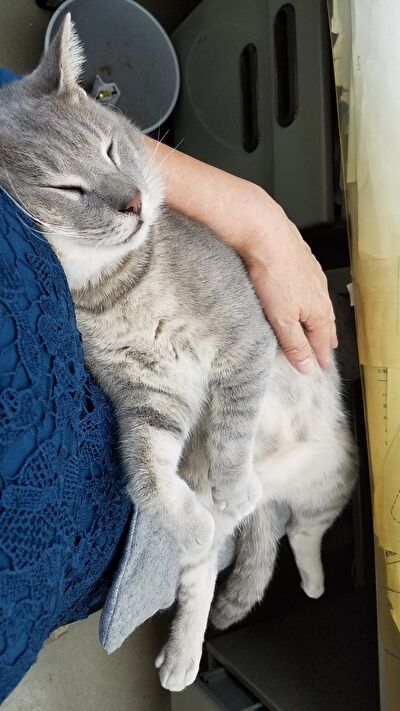 YrUDo6LWixRsWBs1632299576