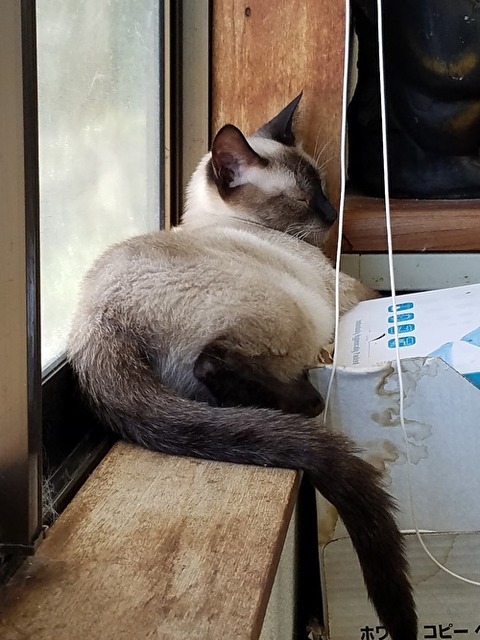 RrPirIwoPJosWyF1658716902