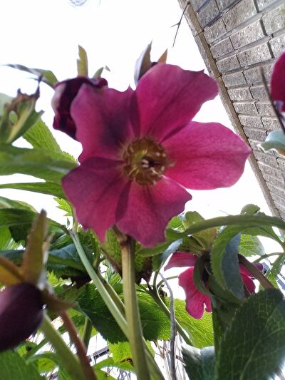 oTQwt2lZPNxxjbi1643497977