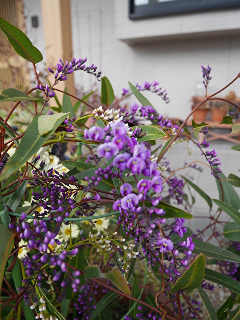 fXCtiV1vcGEgOjn1582671921