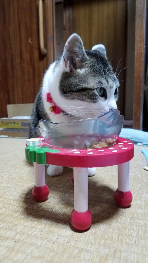 20260502_173157