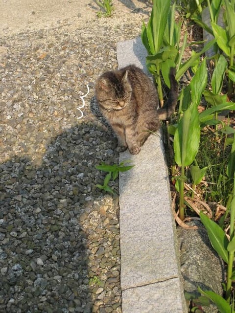 5e6b46bee2f232e6be0d6d93a712c9ad