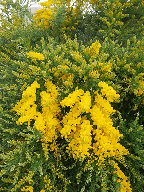 NusCLdtMXp1eaqn1587621385