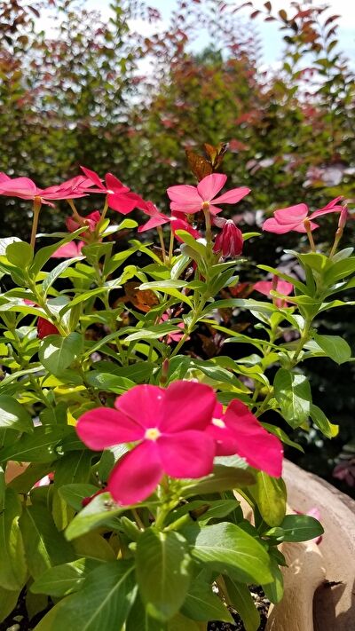 5bIBWEtXMOQFsOD1631777816