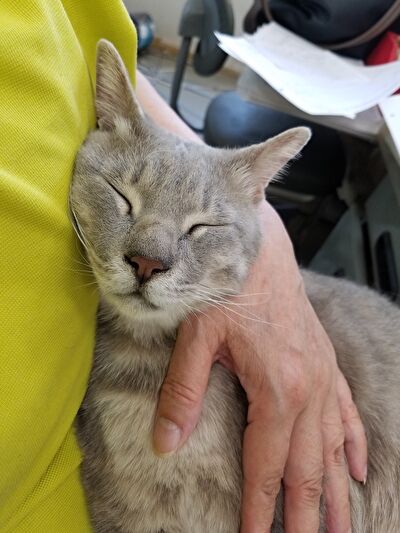 9Il7rkMvLY4O1bQ1623207627