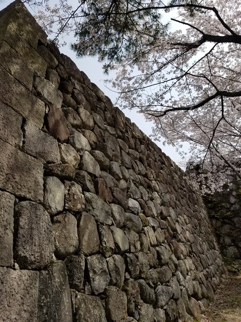 20210330_110348