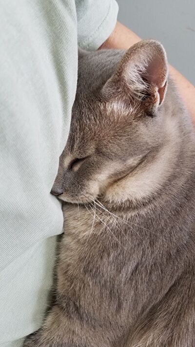 3Rf8VCHItFCc4AC1631787073