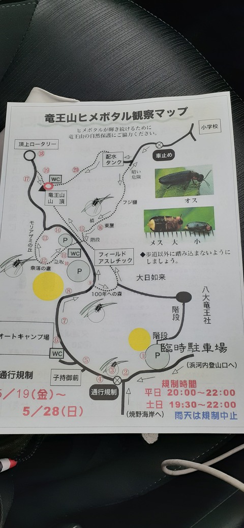 212-196(1-1)竜王山公園AC520_112609