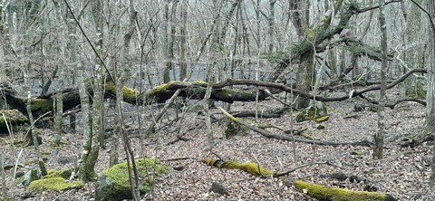 245-227(34-32)法華院温泉山荘103_094242