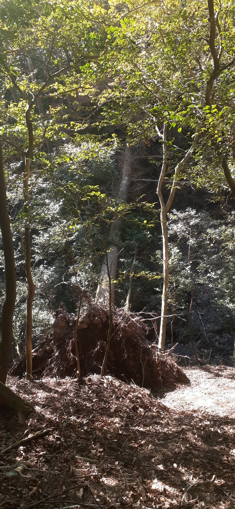 245-227(34-32)奥霧島御池107_124944