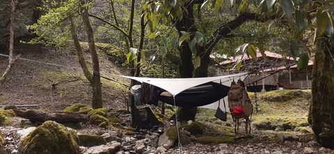 202-186(44-43)八木山渓流公園325_133204