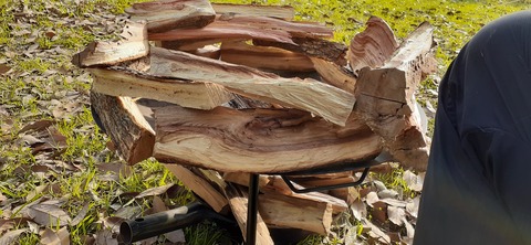 155-140(54-54)うめキャンプ村504_170549