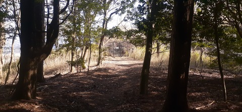 245-227(34-32)奥霧島御池107_131744