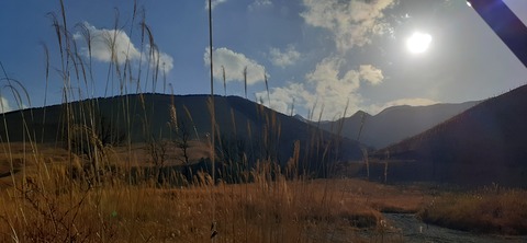 251-232(40-37)伽藍岳ゲリラキャン302_160618